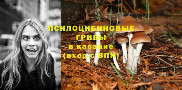 меф Балахна